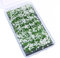 Tiardey Flower Grass Tufts Juego de Mesa de Arena, Kit de Modelo de Terreno, racimo de Flores de arbusto,Miniatura, Modelos temáticos de Mesa de Arena, Modelo de Paisaje - Arbusto Blanco
