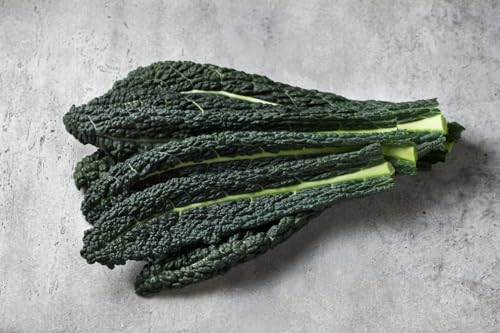 1000 Samen Grünkohl Black of Toscana Kale Kohl Krauskohl Winter Gemüse Vegan