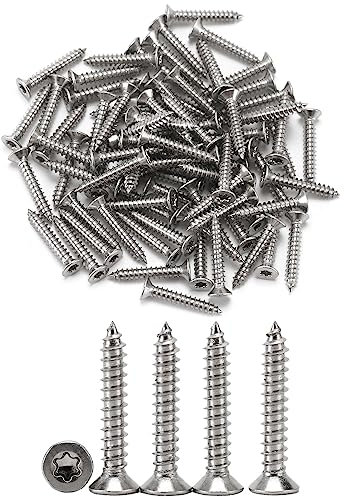 NASHRIO Lot de 100 vis autotaraudeuses en acier inoxydable 304 (M3 x 10)