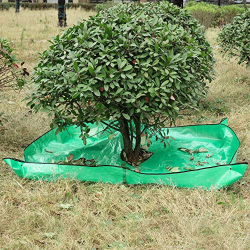 moonoom Landscape Tarp for Trimming, 78.7x78.7, Waterproof, Green, 12 Hole, Four Corner Buckles