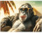 Kare Design Wandbild Holiday Monkey, Bunt, Rechteckig, Glasbild, 4mm ESG Sicherheitsglas, Tierisches Design, Affe, Wandkunst, Bild, Schlafzimmer, Wohnzimmer, Glas, Polypropylen, 80x60 cm (H/B)