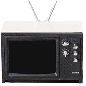 Milageto Mini televisión decoración Muebles Accesorios Regalo Coleccionable Modelo de televisión Retro :12 TV para Casas de muñecas Micro Paisaje