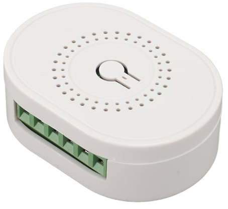 Mini relè Intelligente Telecomando Interruttore Luce Wireless, Modulo Interruttore relè Controllo Vocale per Smart Life, Timer Telecomando, Interruttore Luce Fai-da-te (W1)