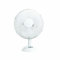 12-Inch Desk Fan with Oscillation - Quiet, Energy-Efficient, and Portable Cooling for Home & Office