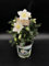 Plante d'hellébore 'Rose de Noël' - Helleborus - (vase: Ø 15 cm - H: 20/30 cm)