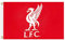 LFC Giant Official Liverpool (2019 Premier League) Crest Flag (100% Polyester & Measures 5ft x 3ft)