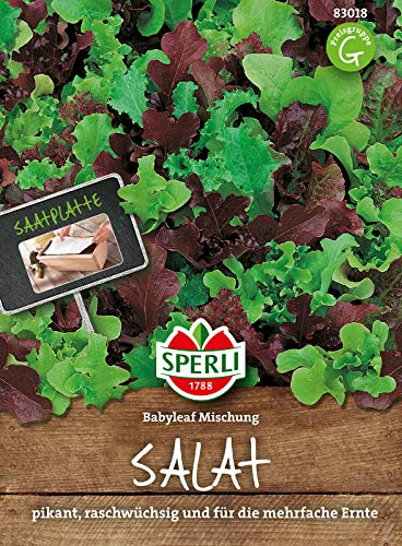 Sperli Salatsamen Babyleaf Mischung, Saatteppich 83018 - raschwüchsig - pikant - mehrfache Ernte - mehrfarbig - Saatteppich, Samen Gemüse, Pflücksalat
