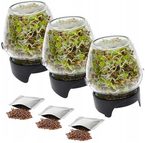 3 X KEIMBOX Keimgarten, Keimgerät, Keimglas Twist-Off + Radieschensamen
