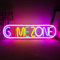 GAME ZONE Neon Sign - Lampe néon en acrylique pour jeux vidéo – Décoration murale à DEL pour enfants, salle de jeux, bar, chambre à coucher, décoration d'intérieur (jeu)