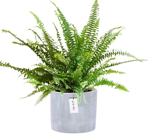 botle Blumentopf aus Keramik Blumenübertopf Gehäuse Farbe Grau Rund Ø 12,5cm H 12cm Glanz Oberfläche Modern Glamour