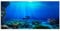 mvrople Fish Tank Decorations Background Sticker PVC Aquarium Background Adhesive Poster For Underwater World Cling Decals Pictures Wallpaper Backdrop Decoration Paper (91X50)