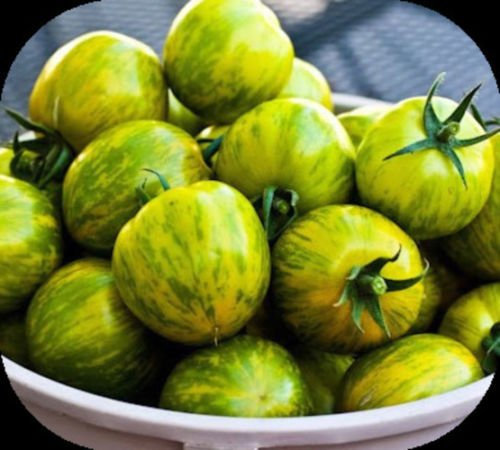 Green Zebra Tomaten-Samen! BEEINDRUCKEND! Kombinierte S/H unserem Shop Rare Seeds Siehe!