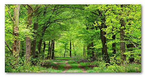 Tulup Splashback 39.37x19.68 inch / 100x50cm Splash-back Kitchen Panel Toughened Safe Tempered Glass Induction Cooker Wall Protection Glass Panel - Green - Spring Forest