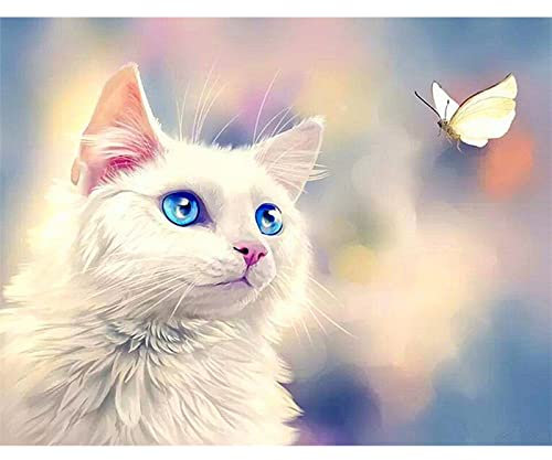 Pintura de Diamante Cuadrado 50x40 cm Square Drill Diamond Painting kit Gatos Grande y Mariposa 5D Puzzle de Diamantes de Gato y Mariposa Punto de Cruz Cuadros para Pintar por Numeros Gatos Blanco
