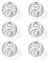 6 Pcs 2.1-Inch Large Size Shaker Balls for Protein Shakes,Milkshake,Salad Dressing and Drinking Bottle, Stainless Steel Shaker Ball,Blender Ball Replacement