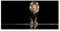 Tulup Impression sur Verre de 120x60 cm Image Tableau Photo décorative panoramique pour la Cuisine et Le Salon - Animaux - Portrait d'un Lion - Brun
