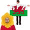 Welsh Daffodil Hat and Wearable Flag Cape Adults Wales Supporters Accessory Kit Sports Rugby Six Nations Fancy Dress Up Football Euro World Cup