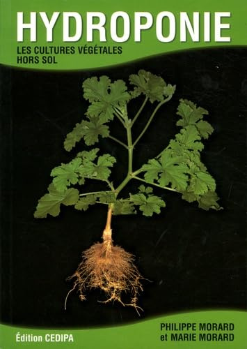 Hydroponie: Les cultures végétales hors sol