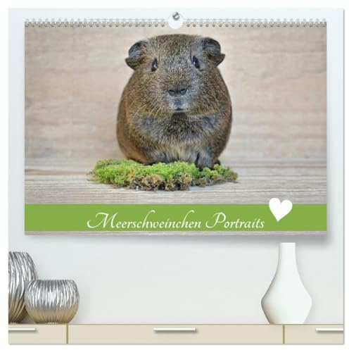 Meerschweinchen Portraits (hochwertiger Premium Wandkalender 2026 DIN A2 quer), Kunstdruck in Hochglanz: Putzige Nager im Mittelpunkt (CALVENDO Tiere)
