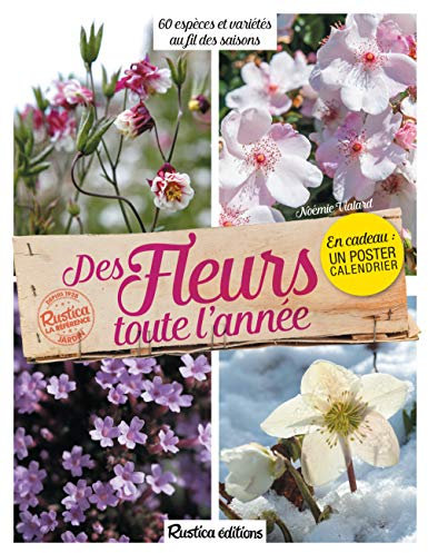 Des fleurs toute l'année
