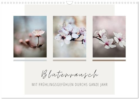 Blütenrausch - Mit Frühlingsgefühlen durchs ganze Jahr (Wandkalender 2026 DIN A3 quer), CALVENDO Monatskalender: Tauchen Sie mit diesem Kalender ein in ein Meer voller Blüten. (CALVENDO Natur)