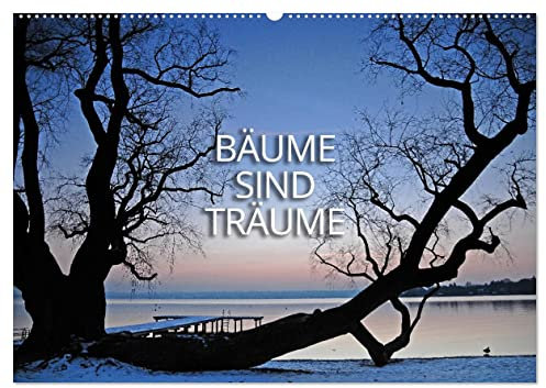 Bäume sind Träume (Wandkalender 2026 DIN A2 quer), CALVENDO Monatskalender: Bäume im Kleid der Jahreszeiten (CALVENDO Natur)
