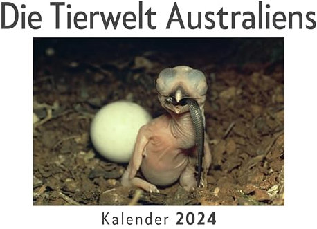 Die Tierwelt Australiens (Wandkalender 2024, Kalender DIN A4 quer, Monatskalender im Querformat mit Kalendarium, Das perfekte Geschenk)