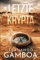 DIE LETZTE KRYPTA (Die Abenteuer von Ulises Vidal, Band 1)