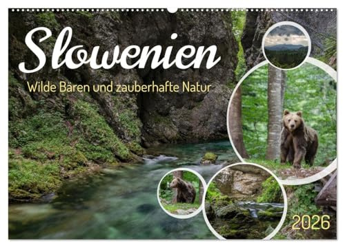 Slowenien - Wilde Bären und zauberhafte Natur (Wandkalender 2026 DIN A2 quer), CALVENDO Monatskalender: Erlebe die majestätischen Bären und bezaubernden Landschaften Sloweniens. (CALVENDO Natur)