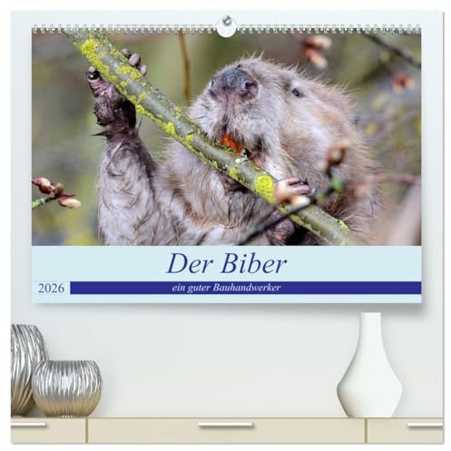 Der Biber, ein guter Bauhandwerker (hochwertiger Premium Wandkalender 2026 DIN A2 quer), Kunstdruck in Hochglanz: Ein schöne Begegnung mit einem, der nur nachts unterwegs ist. (CALVENDO Tiere)
