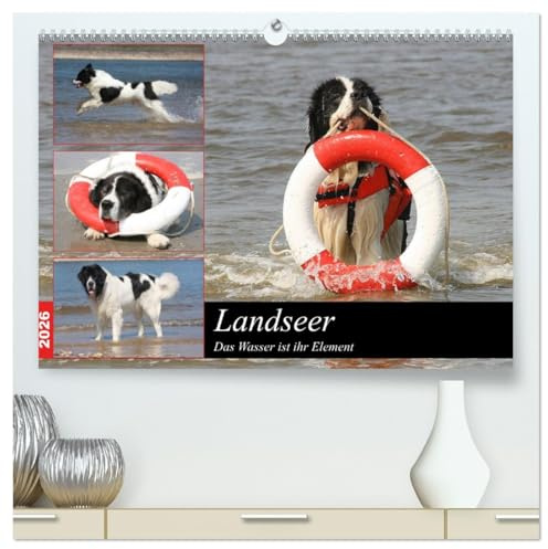 Landseer - Das Wasser ist ihr Element (hochwertiger Premium Wandkalender 2026 DIN A2 quer), Kunstdruck in Hochglanz: Landseer sind eine besondere ... dort in ihrem Element sind. (CALVENDO Tiere)