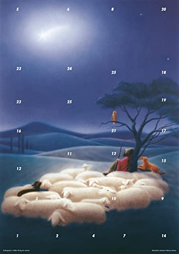 Auch die Tiere folgen dem Stern: Fensterbild-Adventskalender mit Begleitheft