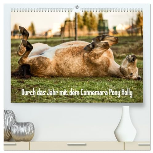 Durch das Jahr mit dem Connemara Pony Holly (hochwertiger Premium Wandkalender 2026 DIN A2 quer), Kunstdruck in Hochglanz: Bilder eines jungen Connemara Ponys durch die Jahreszeiten. (CALVENDO Tiere)