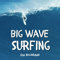 Big Wave Surfing: Ein Bildband