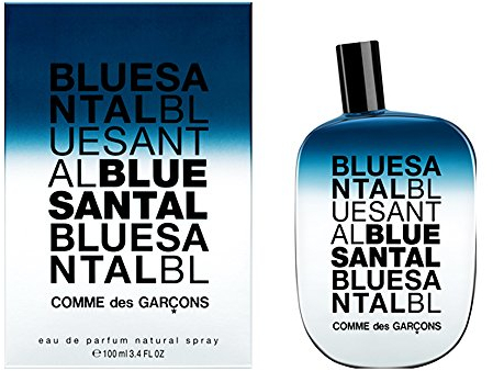 Comme des Garcons Blue Santal unisex, Eau de Parfum, Vaporisateur / Spray 100 ml, 1er Pack (1 x 100 ml)
