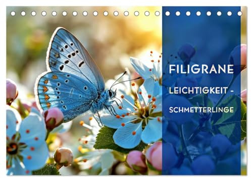 Filigrane Leichtigkeit - Schmetterlinge (Tischkalender 2026 DIN A5 quer), CALVENDO Monatskalender: Verwandeln Sie jeden Tag in ein zartes Flügelschlagen (CALVENDO Tiere)