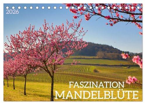 FASZINATION MANDELBLÜTE (Tischkalender 2026 DIN A5 quer), CALVENDO Monatskalender: Mandelblüte an der Südlichen Weinstraße mit Zitaten (CALVENDO Natur)