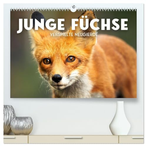Junge Füchse - Verspielte Neugierde. (hochwertiger Premium Wandkalender 2026 DIN A2 quer), Kunstdruck in Hochglanz: Flinke Abenteurer. (CALVENDO Tiere)