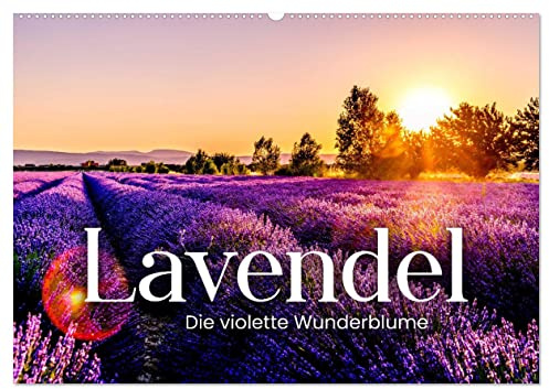 Lavendel - Die violette Wunderblume (Wandkalender 2026 DIN A2 quer), CALVENDO Monatskalender: Wie in der Provence. (CALVENDO Natur)