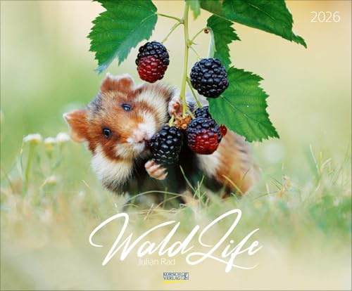WaldLife 2026: Großer Wandkalender mit poetischen Aufnahmen einheimischer Wald- und Wildtiere. Querformat: 55 x 45,5 cm