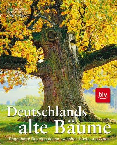 Deutschlands alte Bäume: Eine Bildreise zu den sagenhaften Baumgestalten zwischen Küste und Alpen: Sagenhafte Baumgestalten zwischen Küste und Alpen
