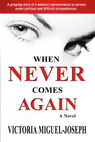 When Never Comes Again - A Novel