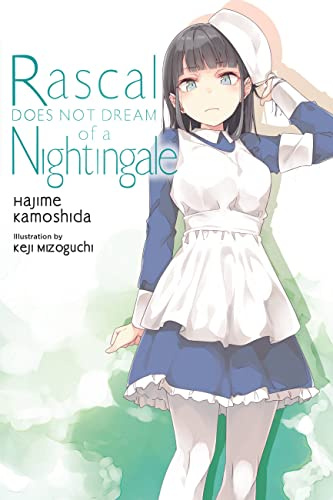 Rascal Does Not Dream of a Nightingale (light novel) (Volume 11) (Rascal Does Not Dream (light novel), 11)
