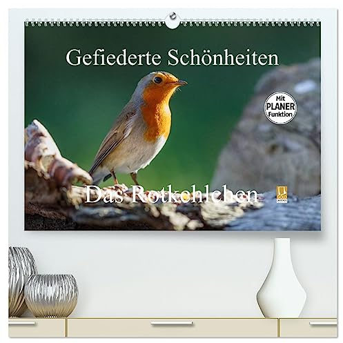 Gefiederte Schönheiten - Das Rotkehlchen/Planer (hochwertiger Premium Wandkalender 2025 DIN A2 quer), Kunstdruck in Hochglanz