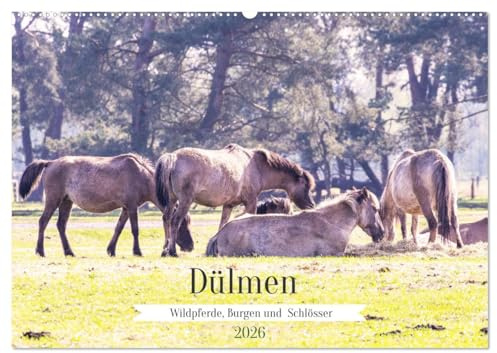Dülmen - Wildpferde, Burgen und Schlösser (Wandkalender 2026 DIN A2 quer), CALVENDO Monatskalender: Dülmen ist bekannt für seine große Wildpferdeherde ... Schlösser und Wasserburgen (CALVENDO Orte)