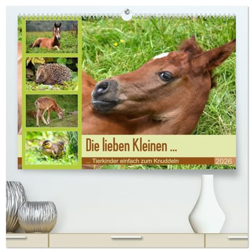 Die lieben Kleinen ... Tierkinder einfach zum Knuddeln (hochwertiger Premium Wandkalender 2026 DIN A2 quer), Kunstdruck in Hochglanz: Knuddelige ... Fotos vom Nachwuchs (CALVENDO Tiere)