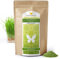 1kg de poudre d'herbe de blé à partir de jeunes herbes, sans additifs, qualité crue, traitement doux à basse température (1000g)