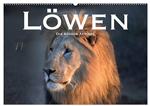 Löwen. Die Könige Afrikas (Wandkalender 2026 DIN A2 quer), CALVENDO Monatskalender: Faszinierende Fotos der wahren Herrscher Afrikas (CALVENDO Tiere)