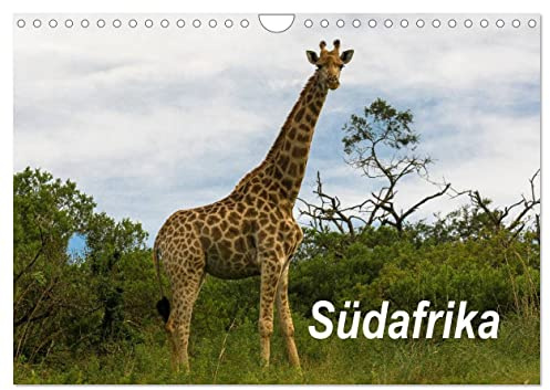 Südafrika (Wandkalender 2026 DIN A4 quer), CALVENDO Monatskalender: Südafrika ist ein interessantes Land mit wunderschönen Landschaften und aufregender Natur. (CALVENDO Natur)