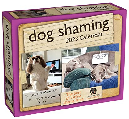 Dog Shaming 2023 Calendar